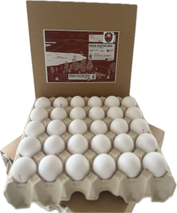 Sälja ägg och tjäna pengar till klassen eller laget